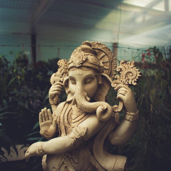 Living Vinyasa teacher training 