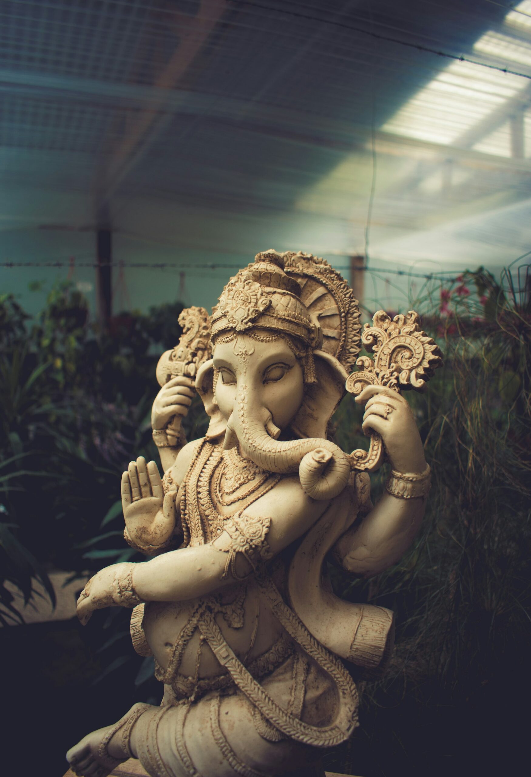Read more about the article Living Vinyasa teacher training 
