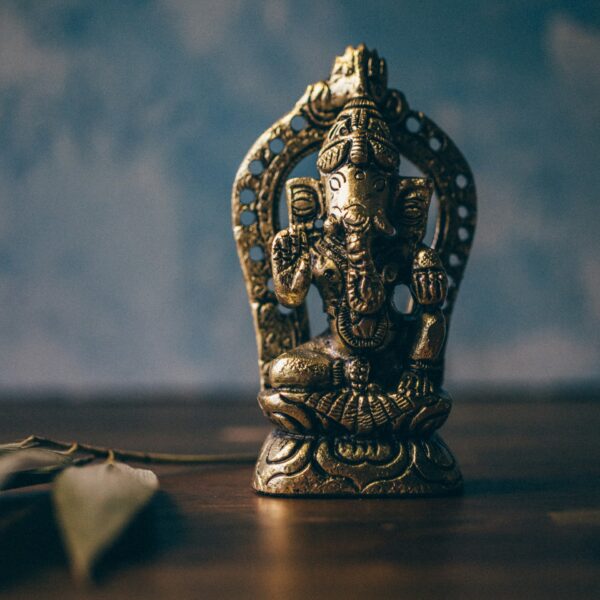 Living Vinyasa teacher training 