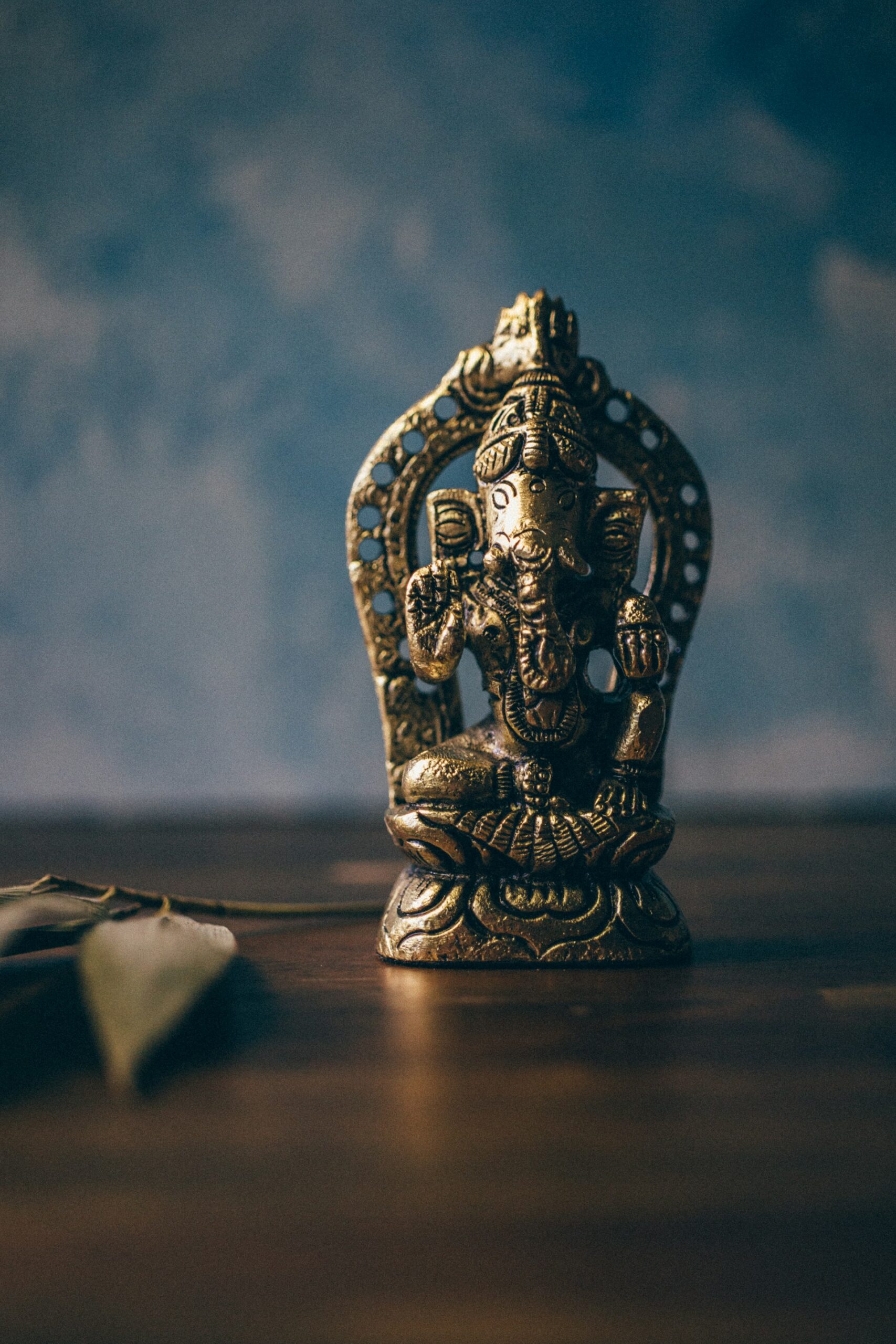 Read more about the article Living Vinyasa teacher training 